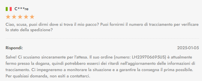 Pasted Image